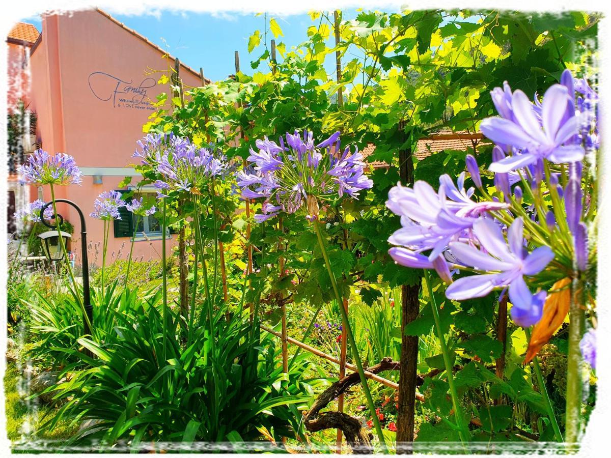 Casa Vacanze Family Albisola Superiore Luaran gambar