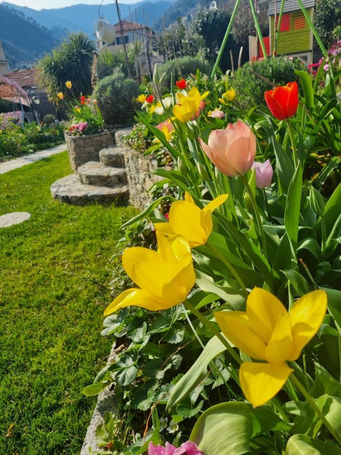 Casa Vacanze Family Albisola Superiore Luaran gambar