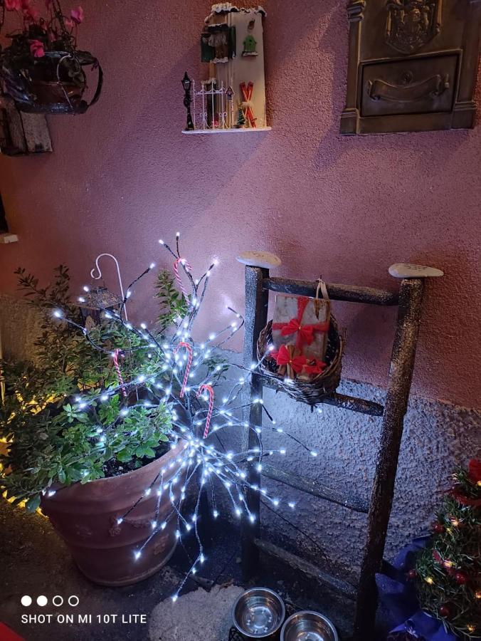 Casa Vacanze Family Albisola Superiore Luaran gambar